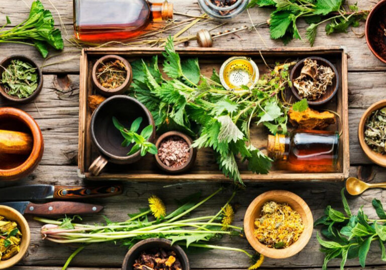 Chemistry-and-medicinal-plants-3